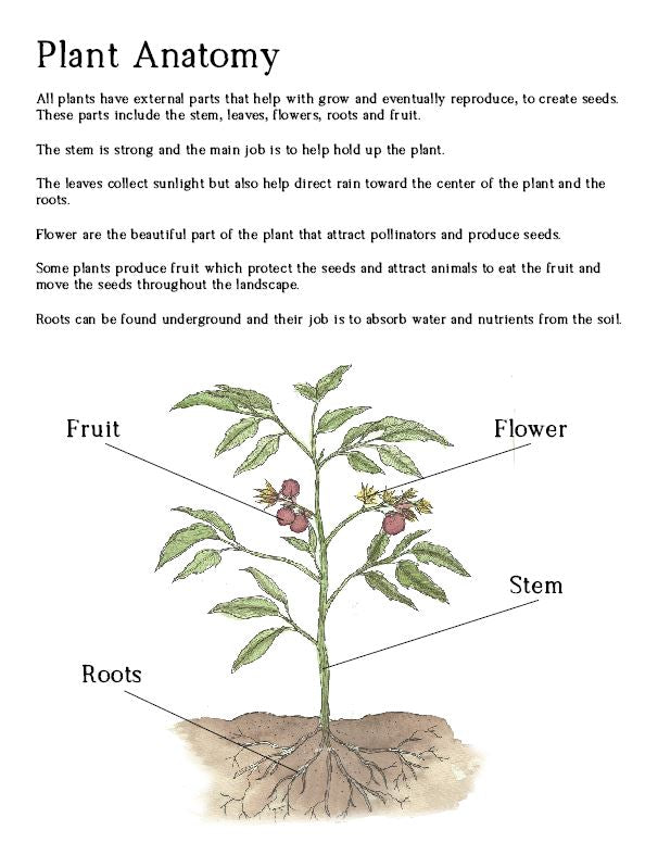 Homesteader's Garden Journal - Upper Elementary - Digital Download