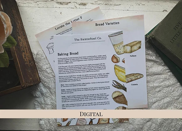 Bread Baking Little Lesson - Digital