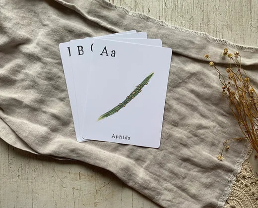 Homestead Alphabet Cards