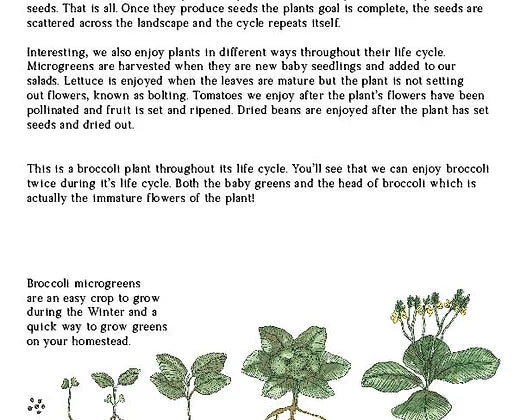 Lower Elementary Homesteader's Garden Journal
