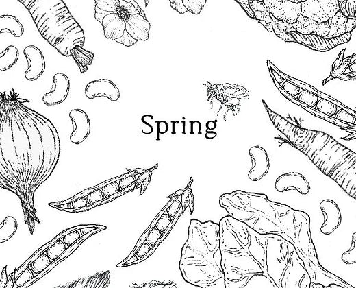 Upper Elementary Homesteader's Garden Journal