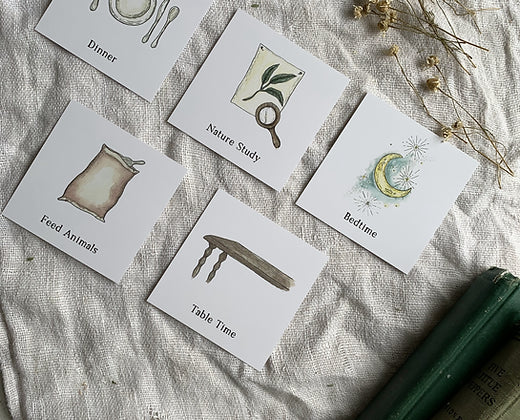Daily Rhythm Cards