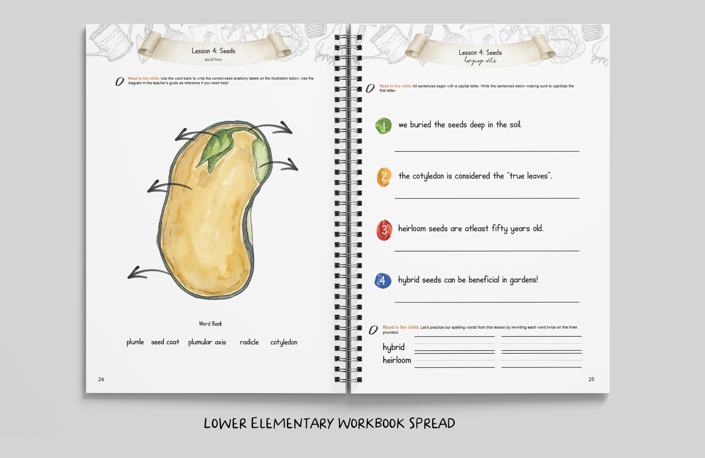 The Little Market Garden Unit Study