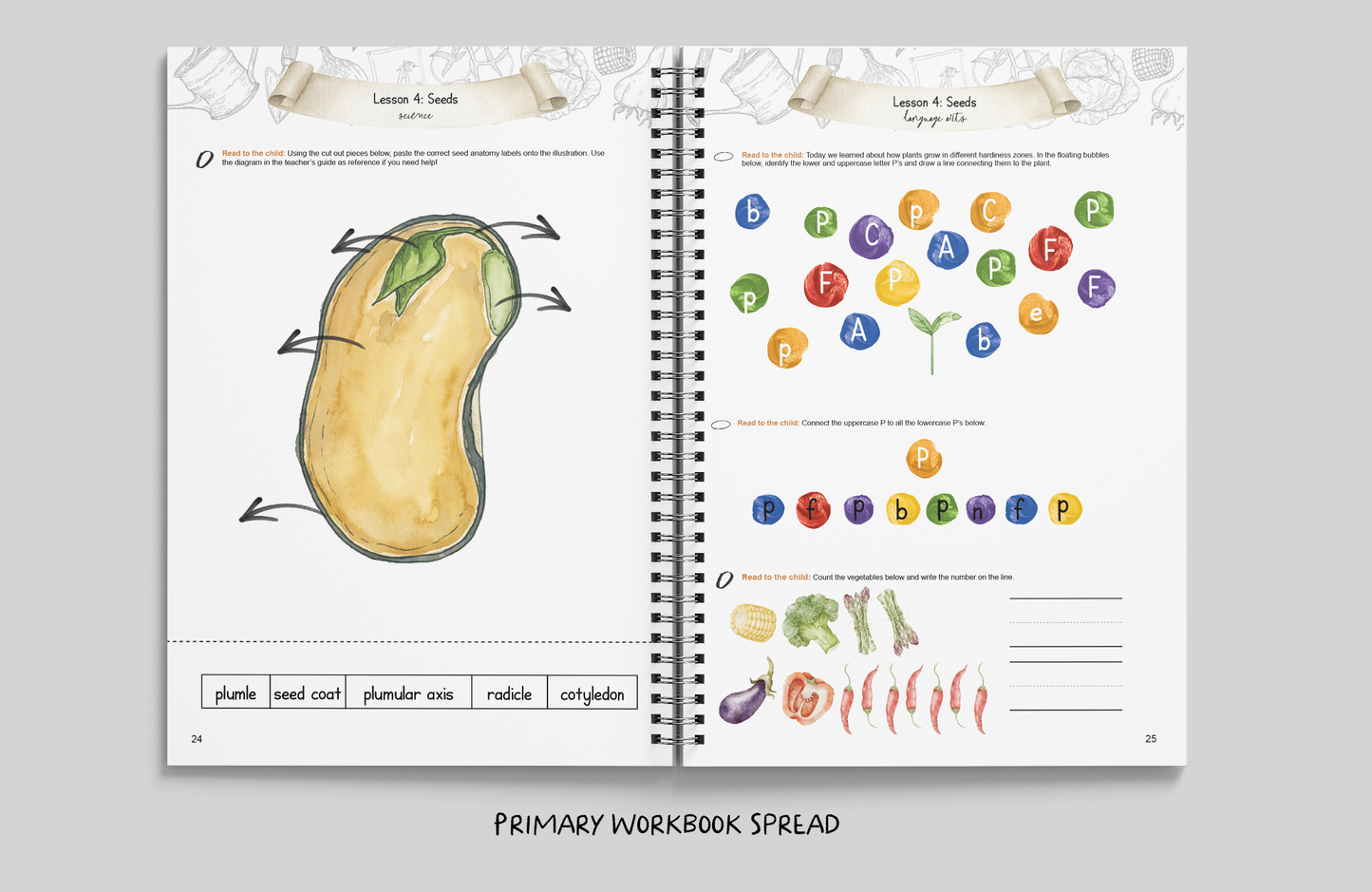 The Little Market Garden Unit Study