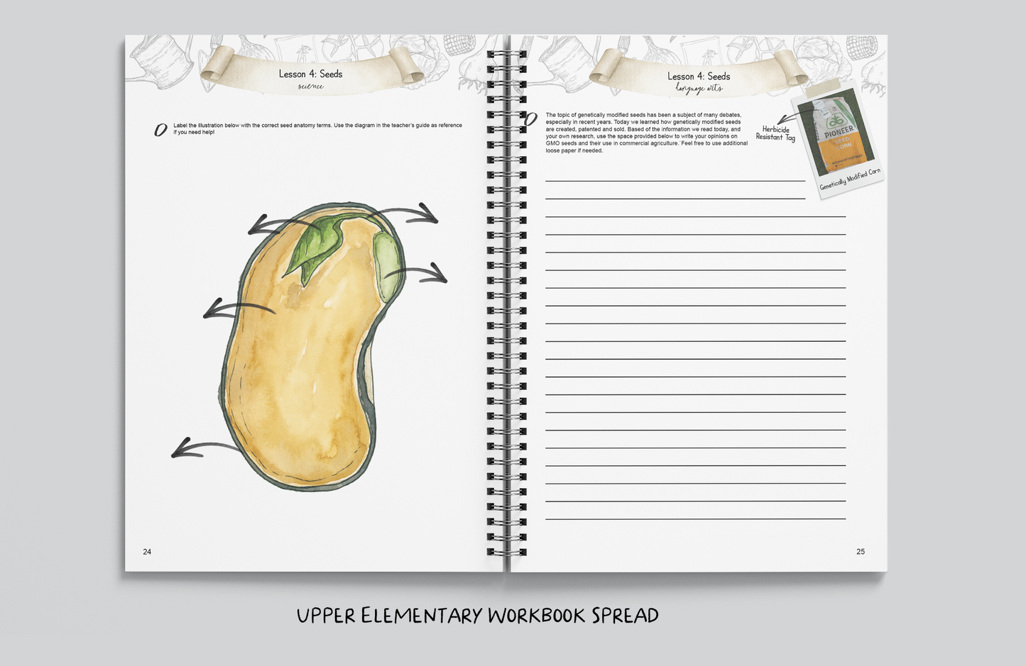 The Little Market Garden Unit Study