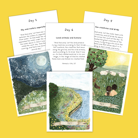 Creation Flashcards