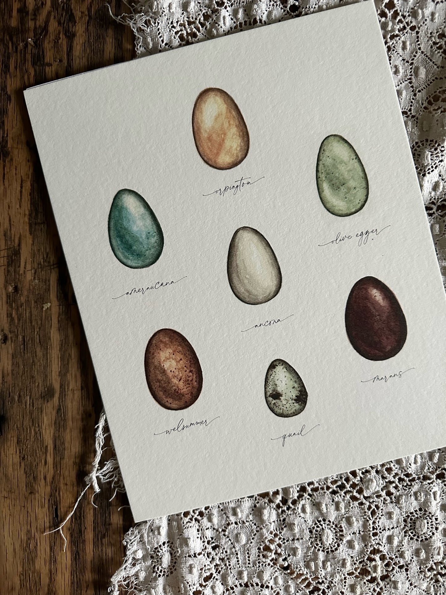 Homestead Eggs Print