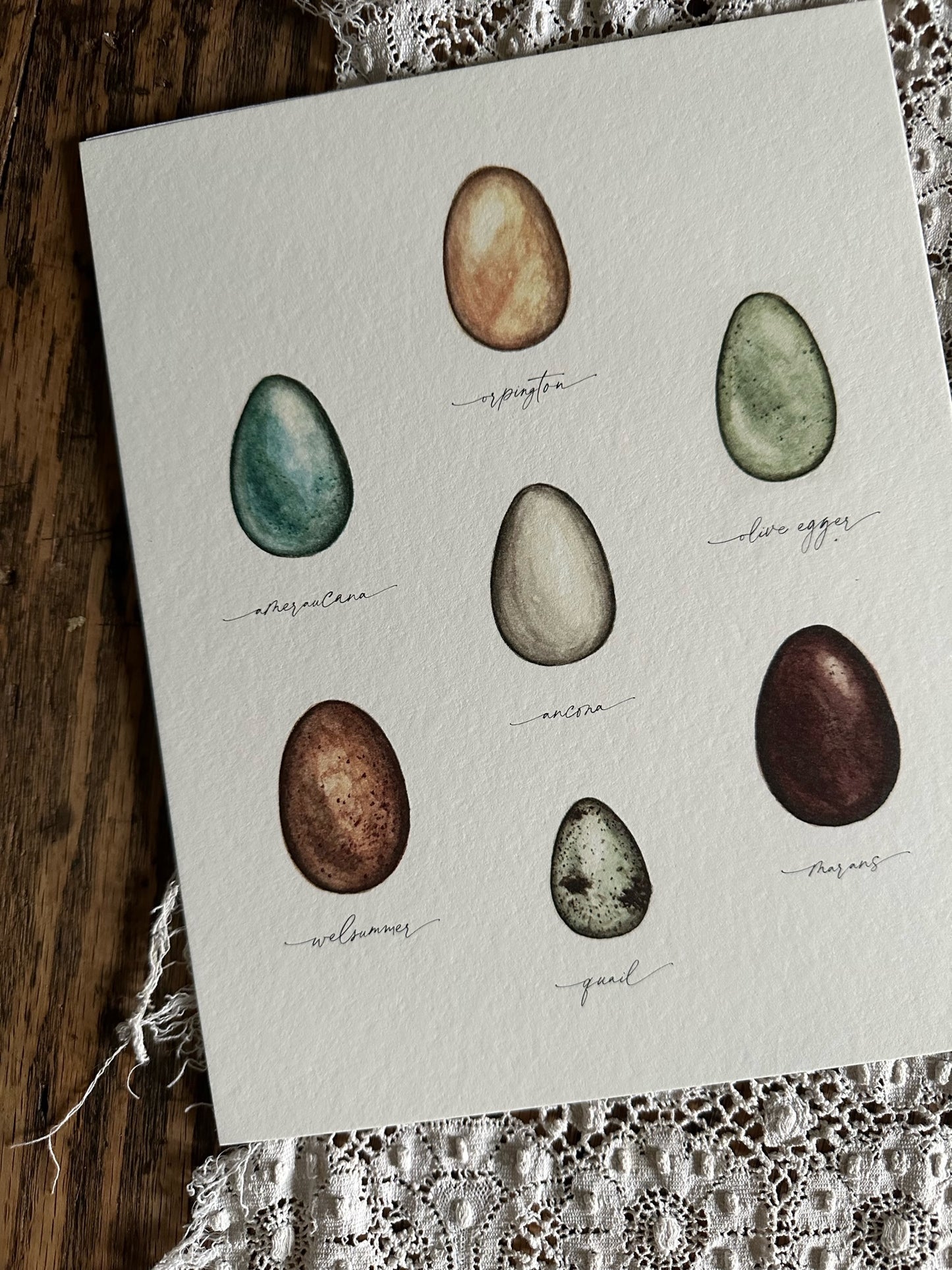 Homestead Eggs Print