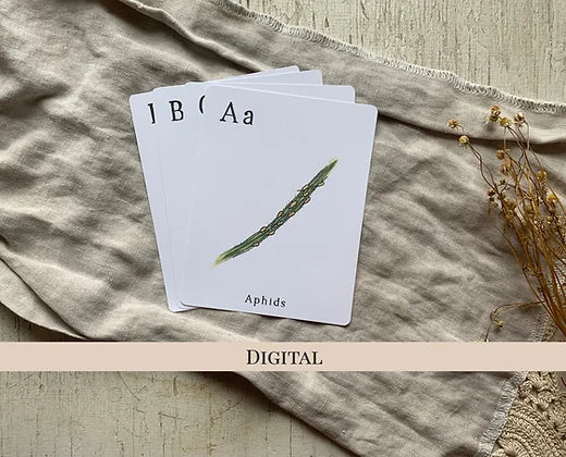 Homestead Alphabet Cards - Digital