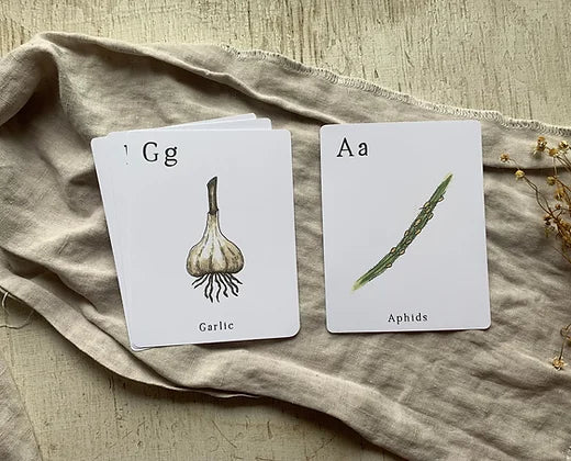 Homestead Alphabet Cards